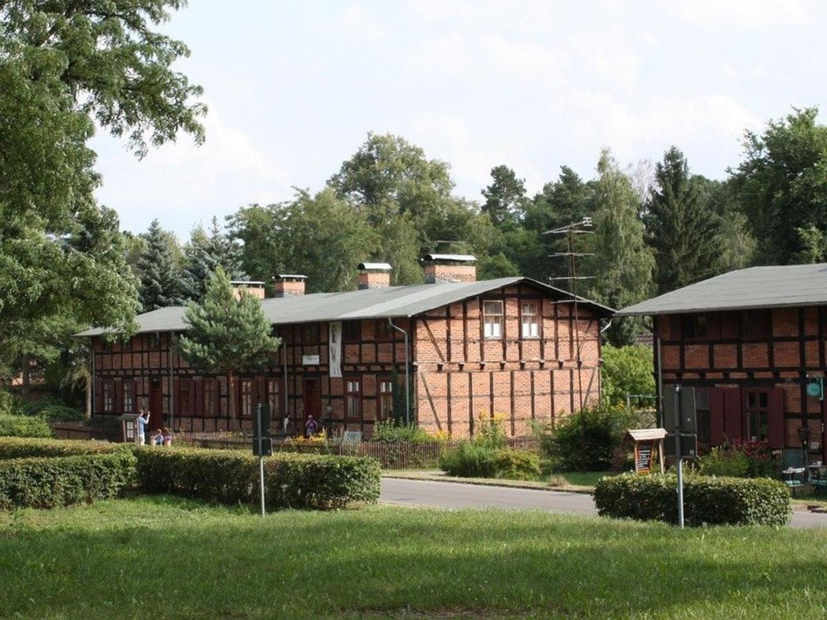 Ferienwohnung Am Roten Schloss Glashutte  Ngoại thất bức ảnh