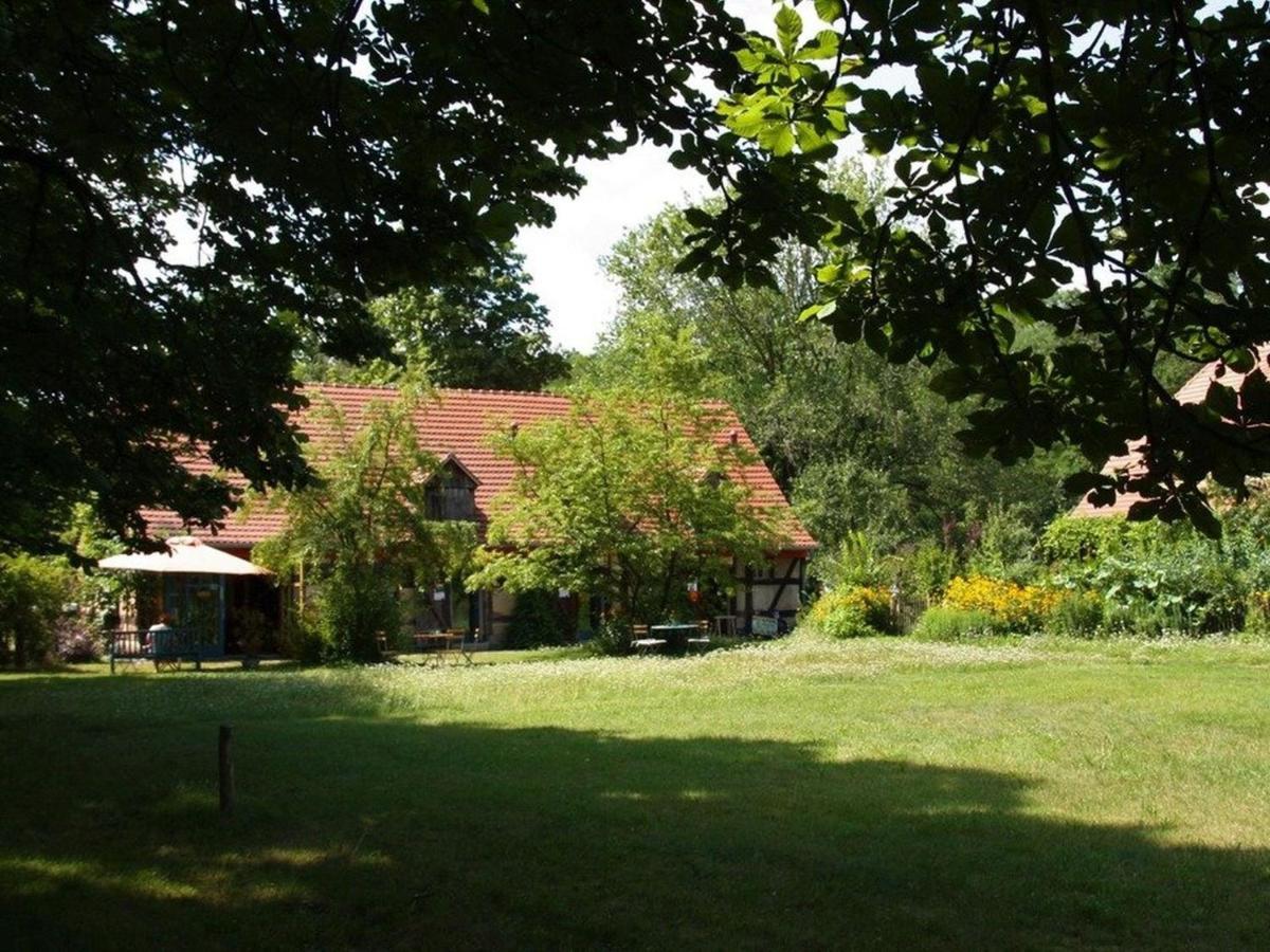 Ferienwohnung Am Roten Schloss Glashutte  Ngoại thất bức ảnh